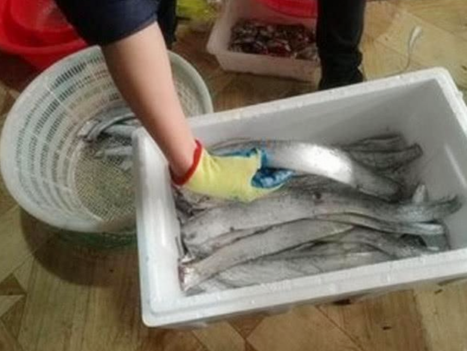 这3种鱼是"甲醛"和"重金属"的温床,对娃身体无益,家长别买