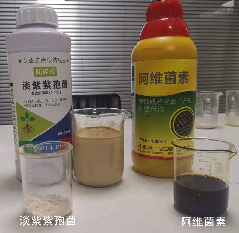 根结线虫用什么治简单彻底 根结线虫有效防治方法 大蒜根结线虫如何预防 腾讯新闻