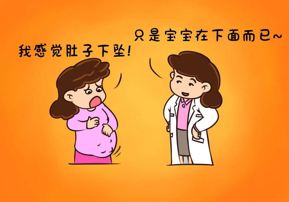 随着胎儿位置发生变化,腹腔内就会腾出一定的空间,而被胎儿挤压的器官