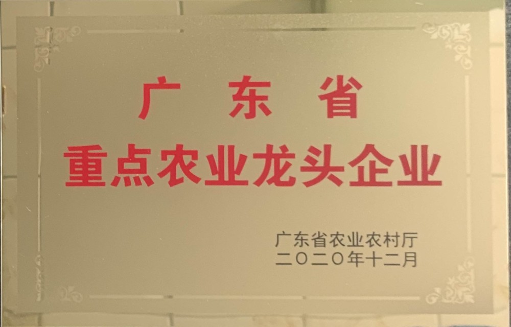 广东省农业农村厅认定康来福农产品集团为广东省重点农业龙头企业
