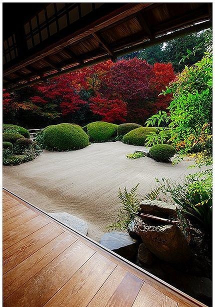日本庭院为何大受欢迎 这14个日式庭院设计 果然诱惑满满 腾讯新闻