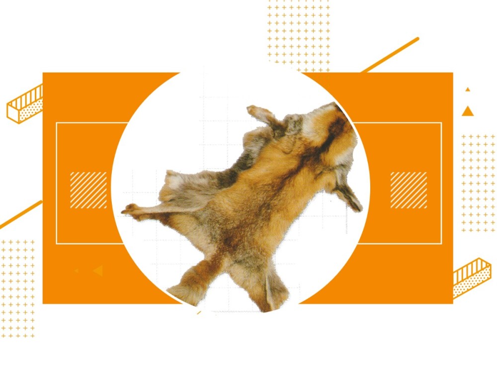 年最后一天降温持续 21年有啥御寒好物 皮草皮料知识分享 腾讯新闻