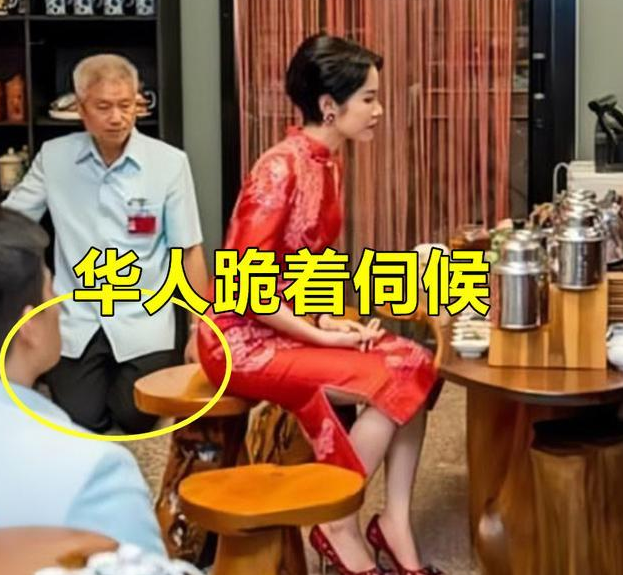 诗妮娜出访中国文化中心,要求华人跪坐着伺候,倾城一笑百媚生