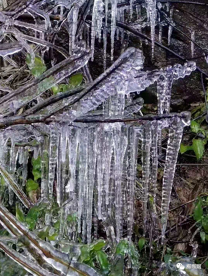 结冰了!今天丰顺这两座山变成了冰雪世界!太美了