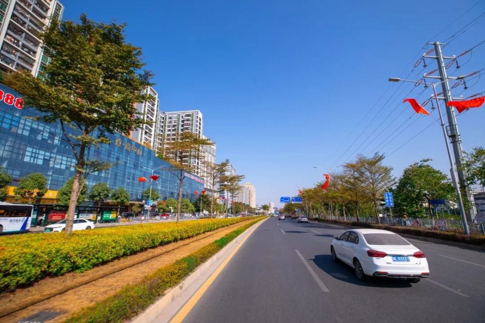 龙华:千面国旗迎风飘,新年气氛别样浓