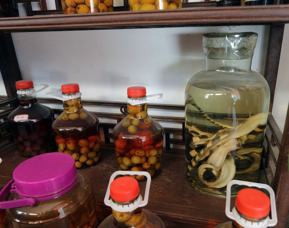 元旦春节聚餐慎喝药材泡酒