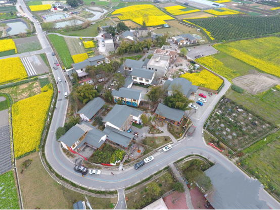 2021 我的家乡在成都_腾讯新闻