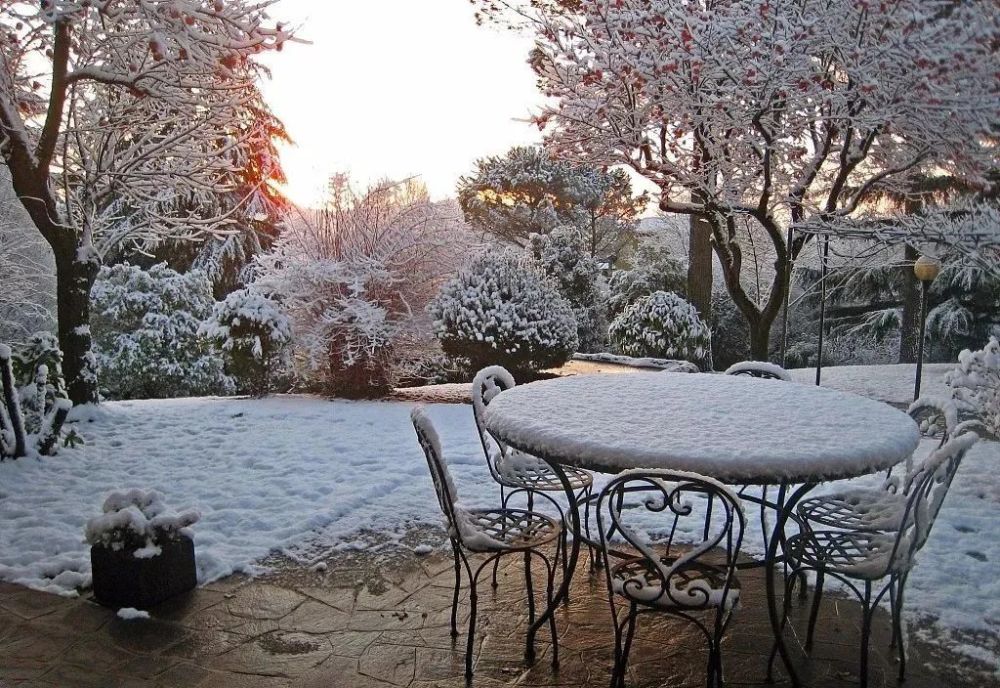 下雪时的院子真美