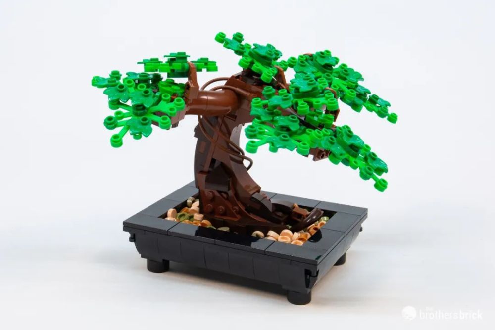 乐高花植系列10281乐高盆景开箱评测_腾讯新闻