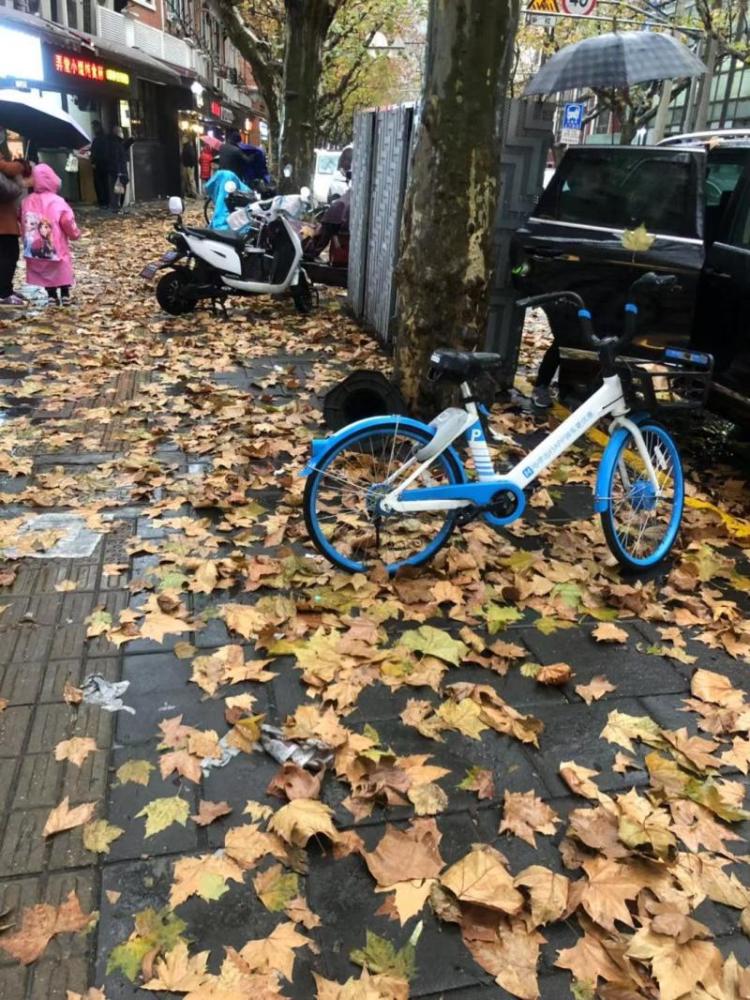 上海寒潮时最低温度曾降至零下11度 历史上的寒潮你经历过几次 腾讯新闻