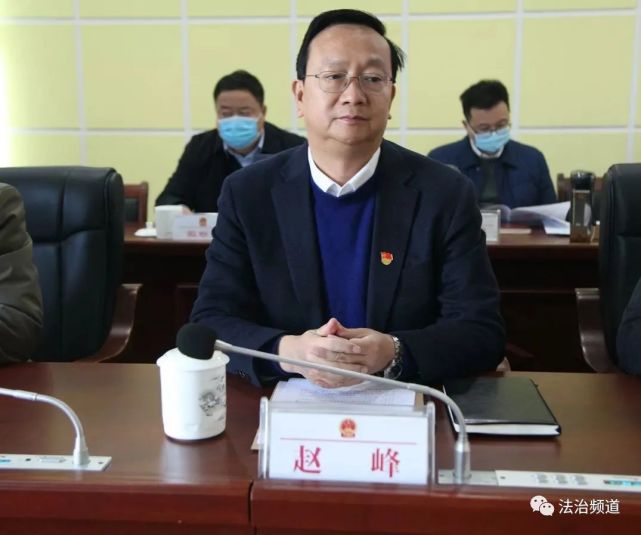 驻马店平舆县人大常委会任命孔杰为平舆县人民政府副县长县公安局局长