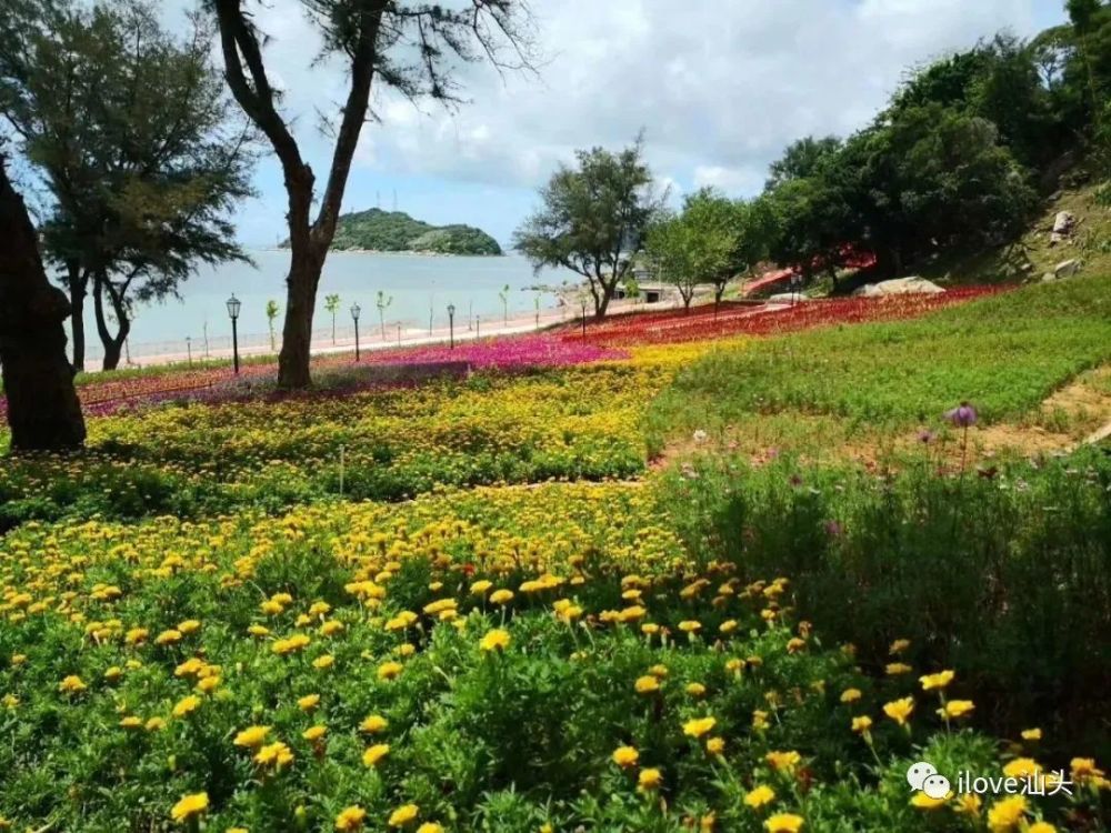 妈屿岛 国家3a级 腾讯新闻