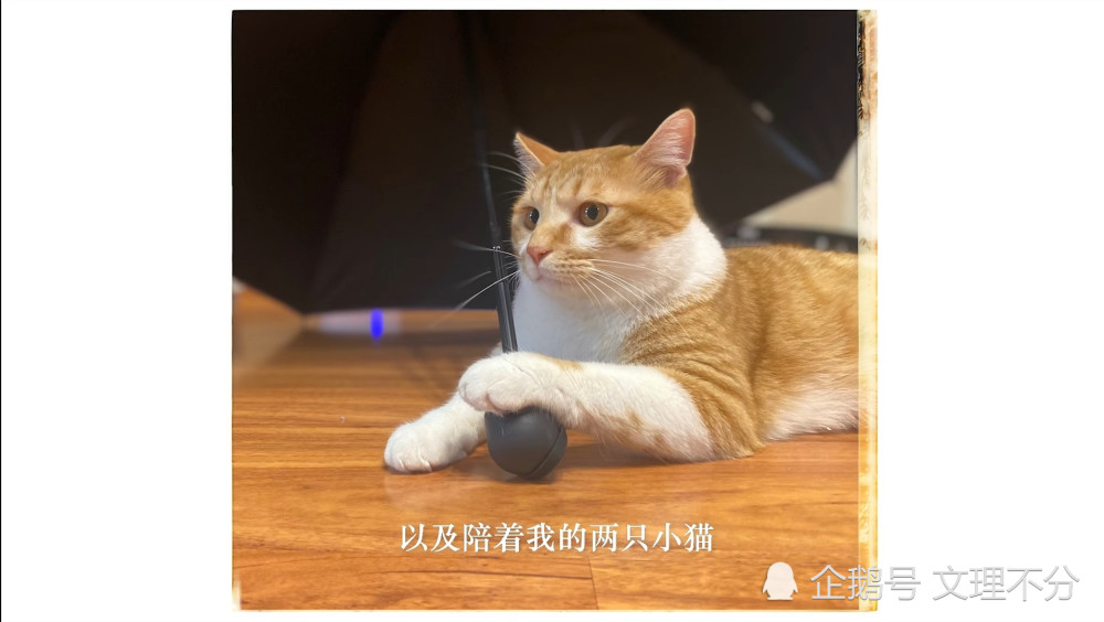 21年b站涨粉第一人 王冰冰吸粉150万 会是下一个papi酱吗 腾讯新闻