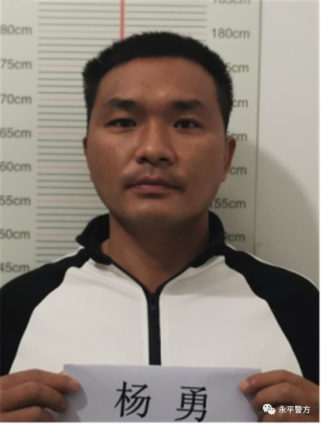 大理州这个县打掉一个犯罪团伙抓获40多人