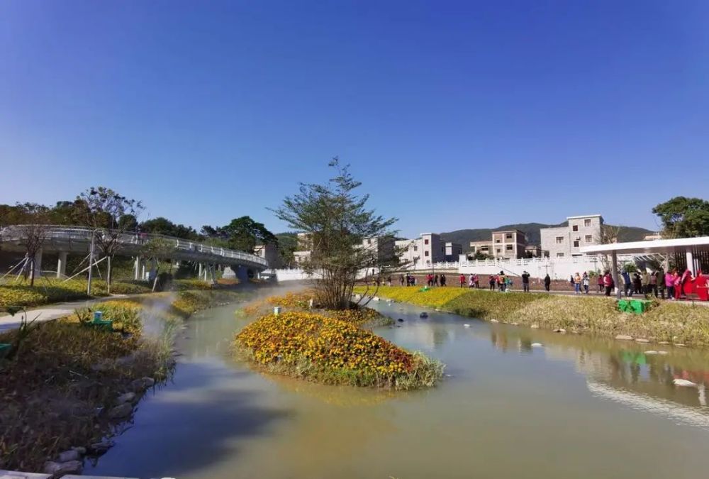 金湾又多一处打卡点木头冲鹤道今天正式开放啦
