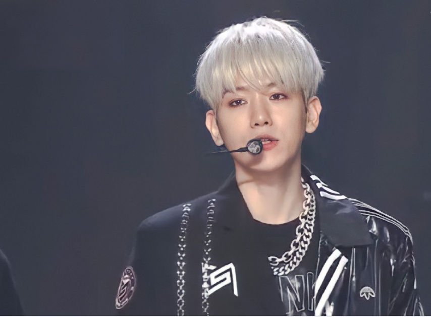 sm家族演唱会边伯贤独唱穿lv外套顺毛又酷又甜全开麦飙高音太稳了