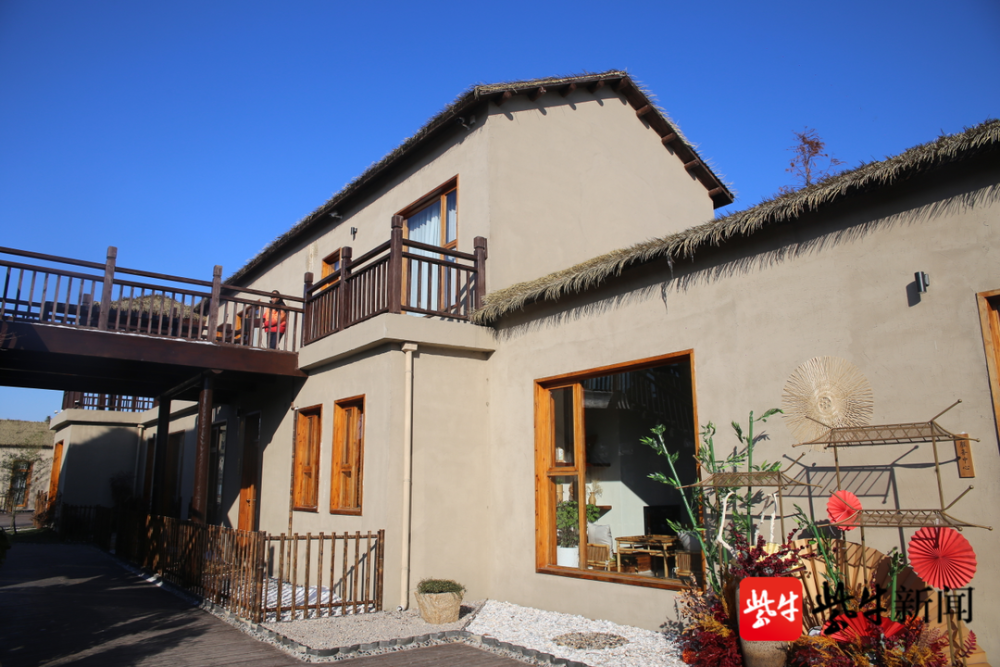 自在田园里全竹慢生活盐城阜宁金沙湖绿竹巷民宿开放迎客