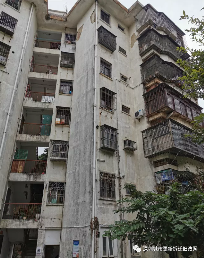 罗湖区-布心花园更新旧改拆迁现状!