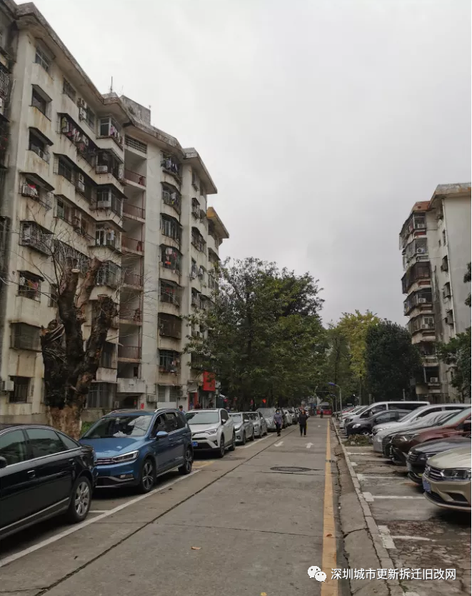 罗湖区-布心花园更新旧改拆迁现状!