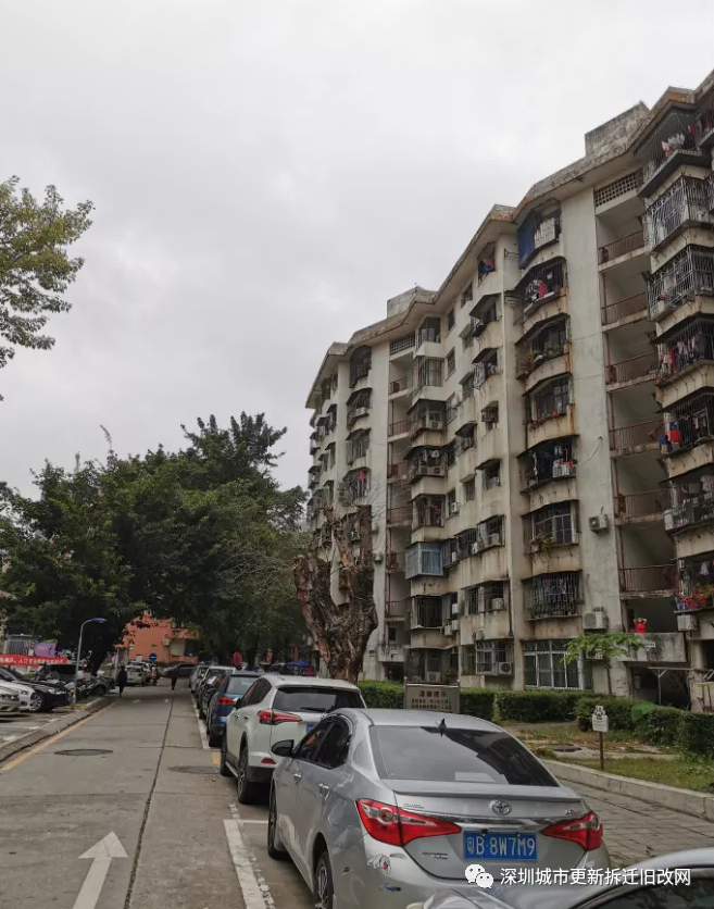 罗湖区-布心花园更新旧改拆迁现状!