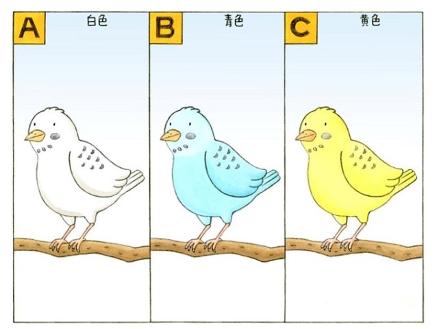 心理测试 停在树枝的小鸟是什么颜色了解现在的你必要的东西 小鸟 蔬菜
