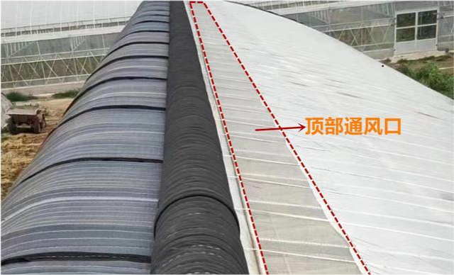 大棚薄膜滴水,严重影响作物生长,"三步"教你完美解决_腾讯新闻