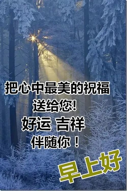 12月微信早上好图片大全唯美早上好关心句子祝福用语带表情微信2021