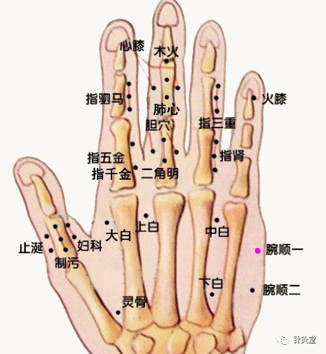 【腕顺二穴】