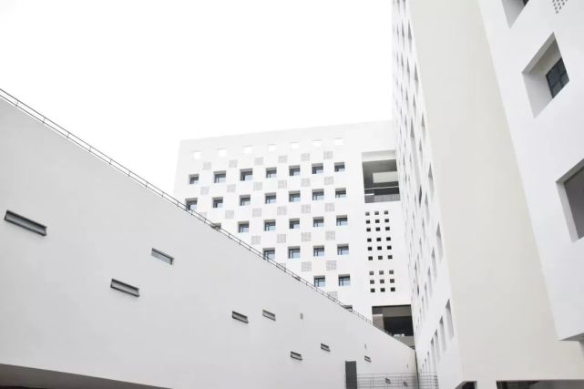 艺心探寻创新之路专访深圳大学艺术设计学院原院长吴洪