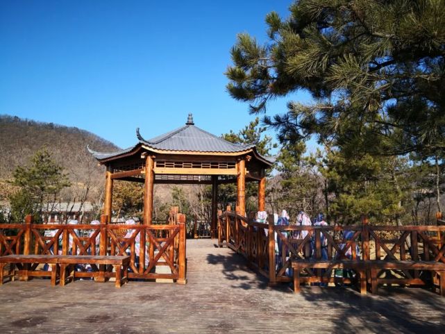 沁水有鹿,喊你领奖jīn!|沁水|鹿台山