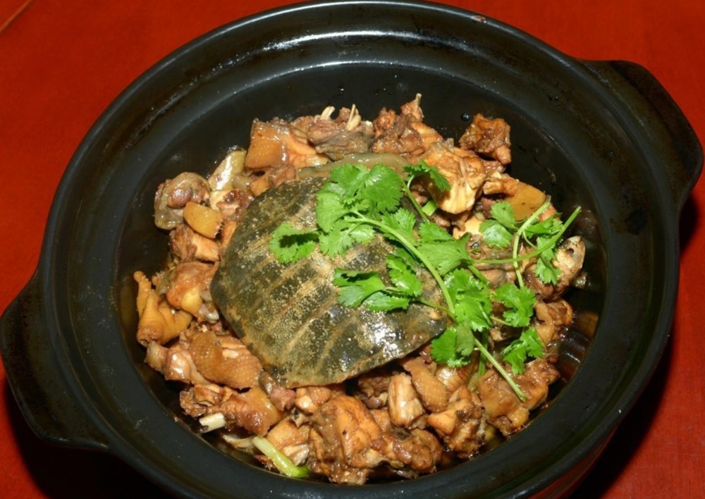 徐州宿迁的经典名菜"霸王别姬",味道虽然一绝,看到用料笑弯腰_腾讯