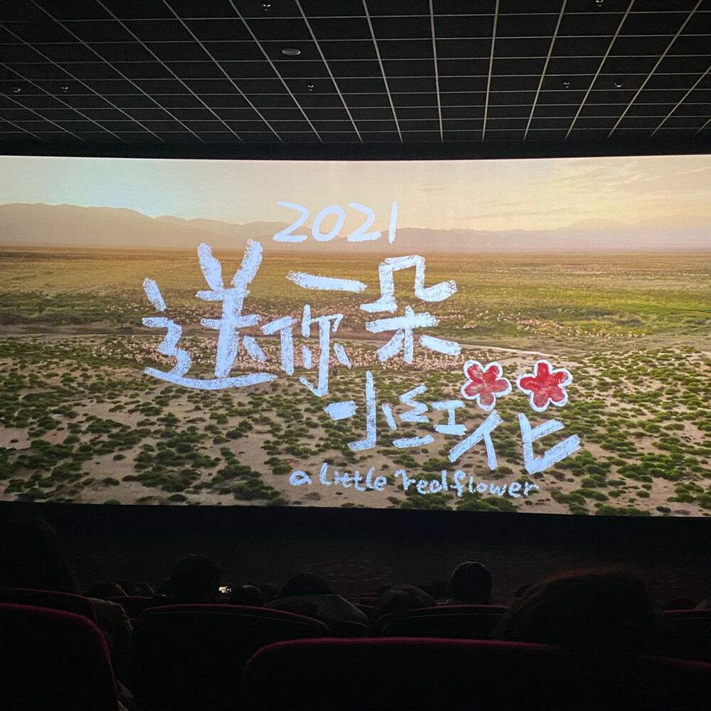 送你一朵小红花台词文案