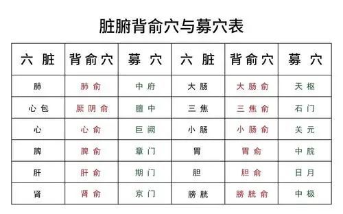 从脏腑病而求门海俞募之微论脏腑病针灸治疗取穴规律