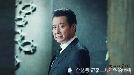 巡回检查组 背后真正的大boss 导演已经表明了 米振东 巡回检查组 导演 黄四海 黄雨虹