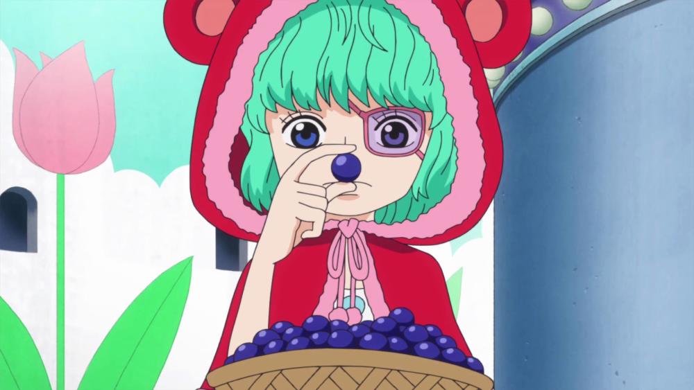 海贼王幽灵果实是极佳辅助那么还有哪些果实也适合辅助呢