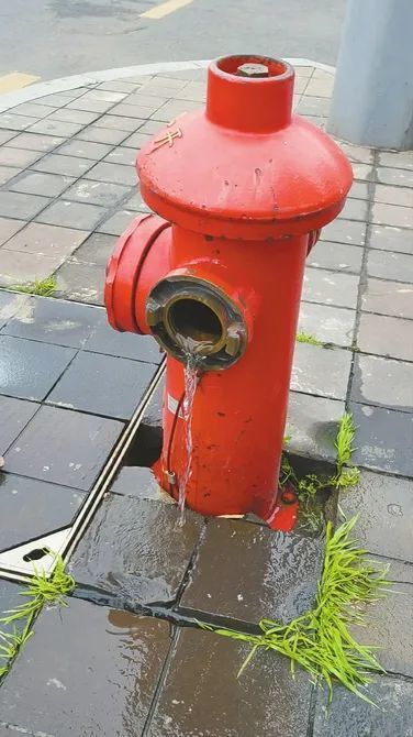 南充滨江中路消防栓漏水市民心疼水白流