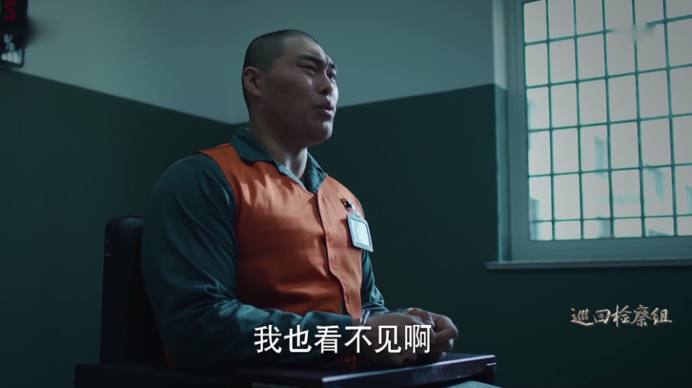 《巡回检察组》白小莲杀人?