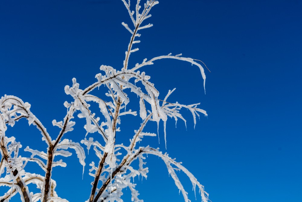 山东邹平冰雪节玉树琼枝美轮美奂