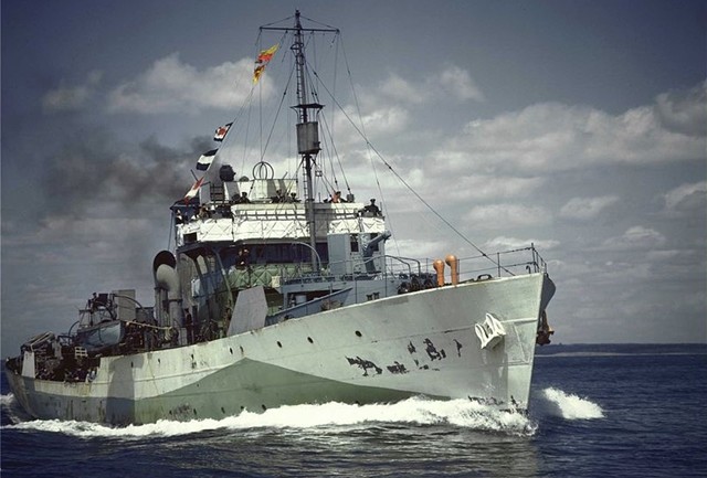 二战英国花级护卫舰德军有u艇狼群英国有花级土狗群