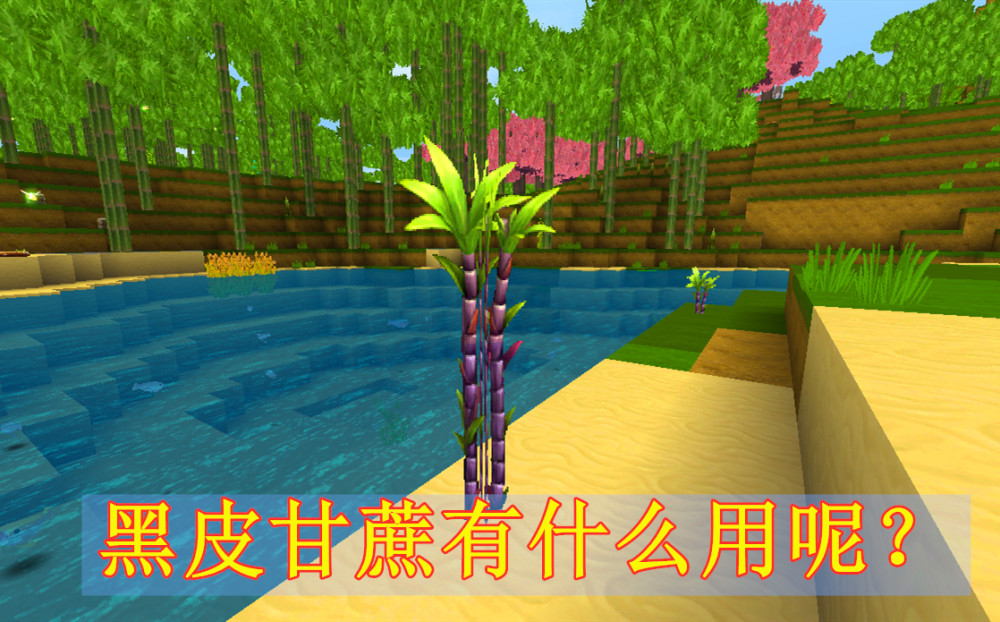 甘蔗在迷你世界中有妙用掌握关键原理轻松学会自动收割机