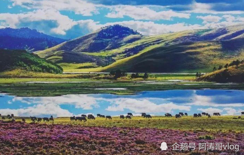 凉山彝族人口有多少_要闻直击丨@凉山人,要降温啦!