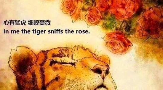 俗语:心有猛虎,细嗅蔷薇,是什么意思?蕴含深刻哲理