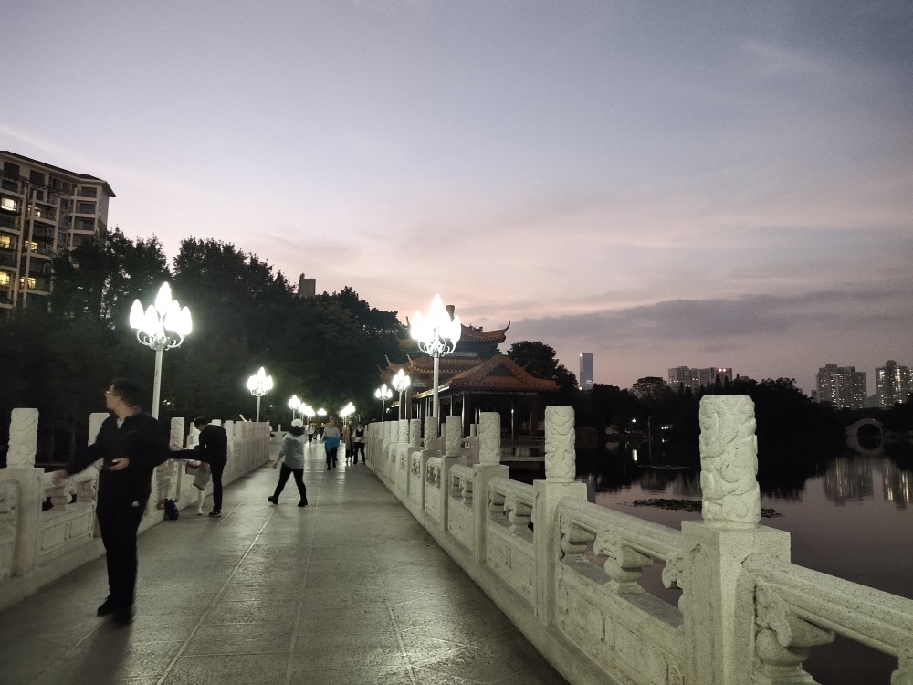 美丽而安静的福田荔枝公园夜景._腾讯新闻