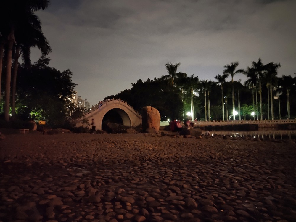 美丽而安静的福田荔枝公园夜景