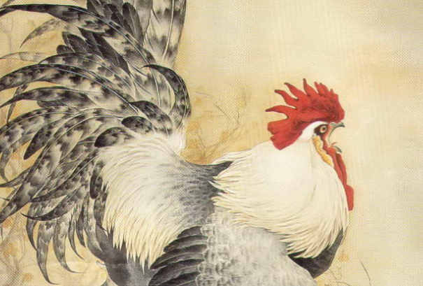 属鸡人不能不看,告诉你个天大消息,说出来怕吓到你