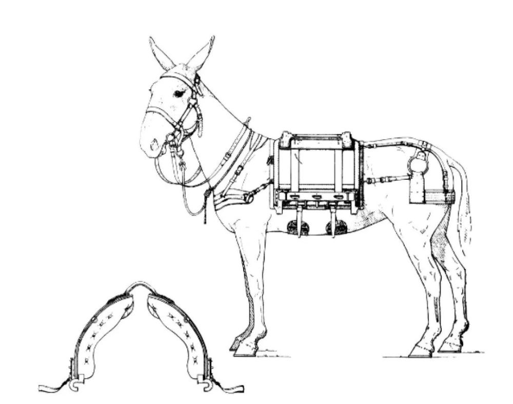 3万匹骡马(其中只有25000匹马)进入法国.