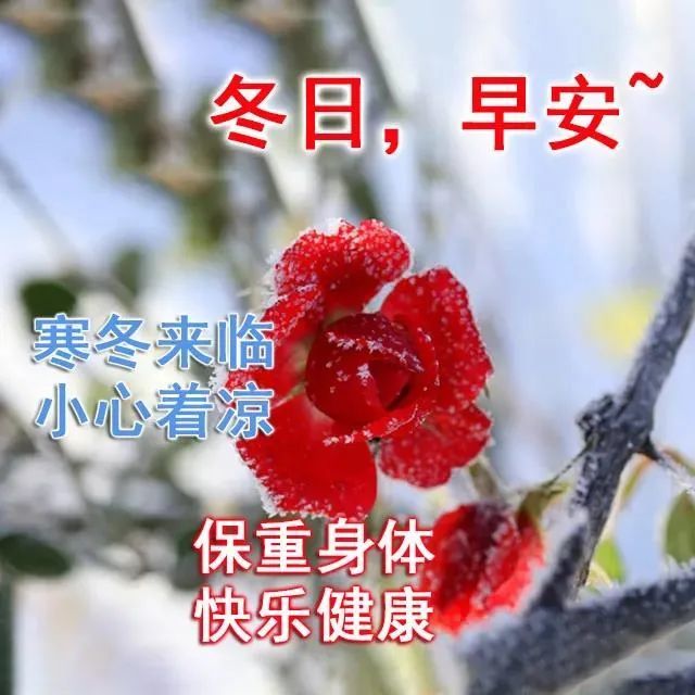 2022新的一年朋友圈早上好问候祝福语最新漂亮动态图暖心的清晨好祝福