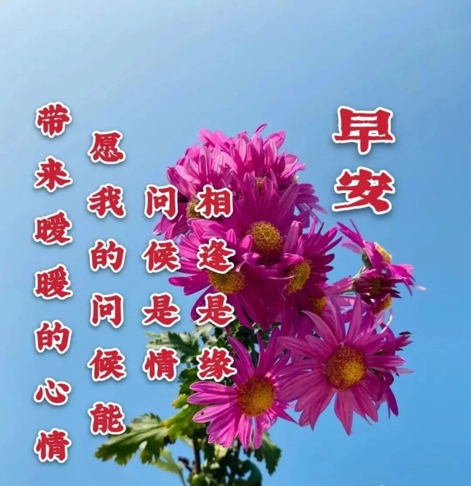 2021冬天最美鮮花早安圖片帶字帶祝福語冬天早上好問候祝福圖片鮮花帶