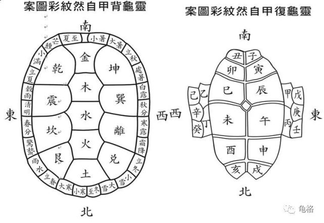 乌龟辟邪镇宅的说法有根据吗?是不是风水先生瞎掰的?