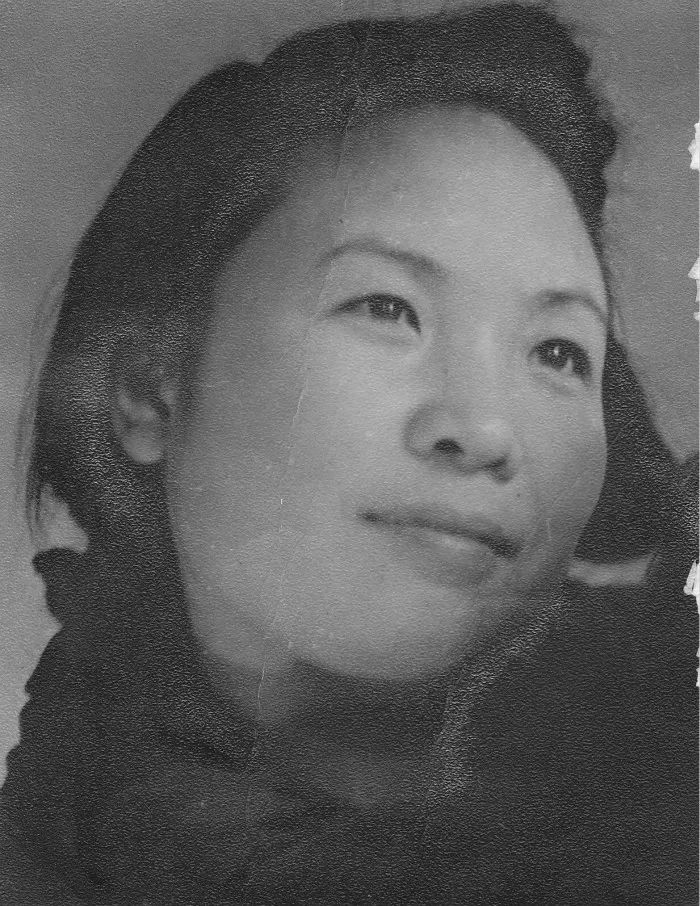 陈布文我选择自由自在地凋落